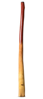 Tristan O'Meara Didgeridoo (TM346)
